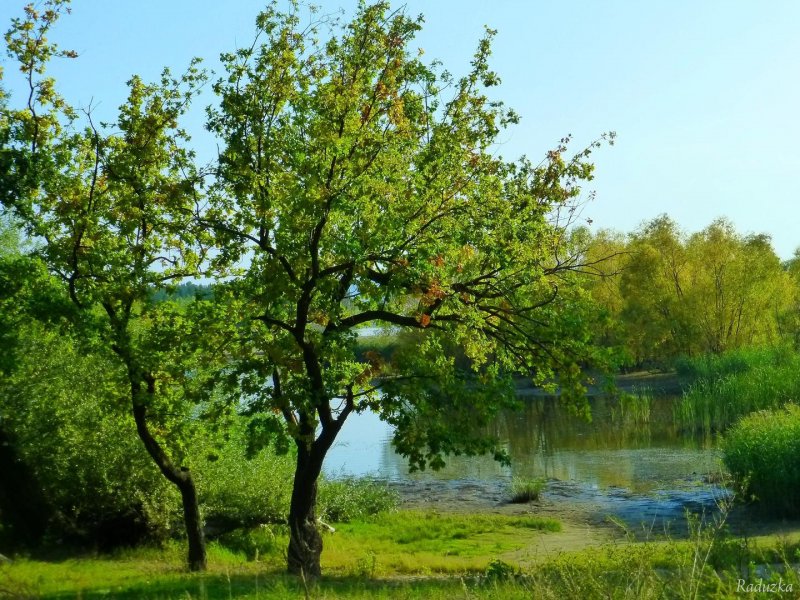 Волчихинское водохранилище Свердловская