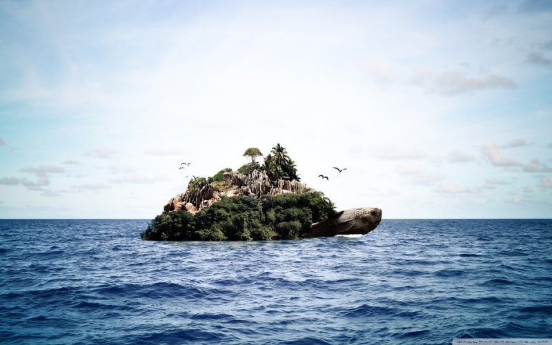 Тортуга остров черепах