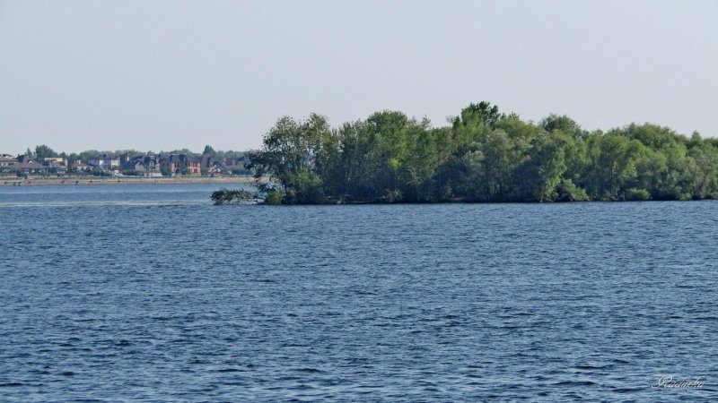Саратов остров казачий Волга