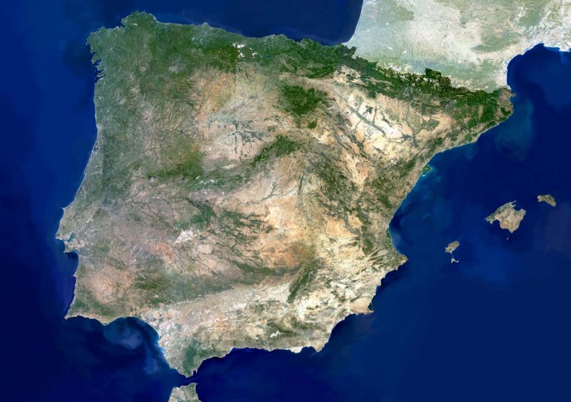Кантабрийские серны в Испании
