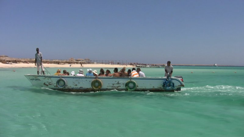 Камышовое море Египет