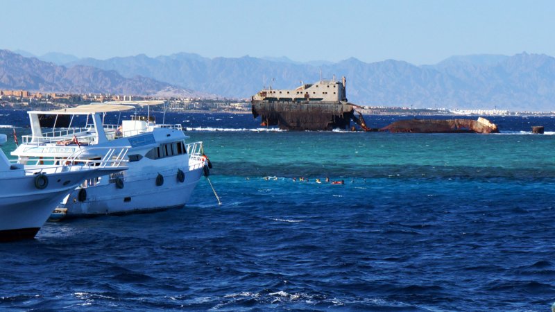 Египет Шаркс Бей подводный