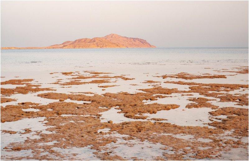 Красное море Египет Хургада