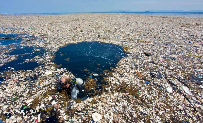Саргассово море мусорное пятно