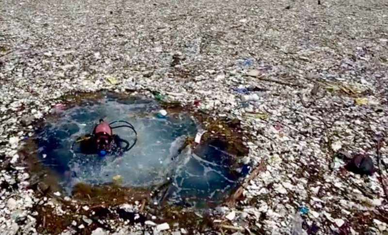 Тихоокеанское мусорное пятно со спутника