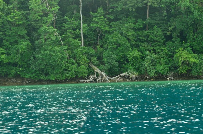 Андаманские острова климат