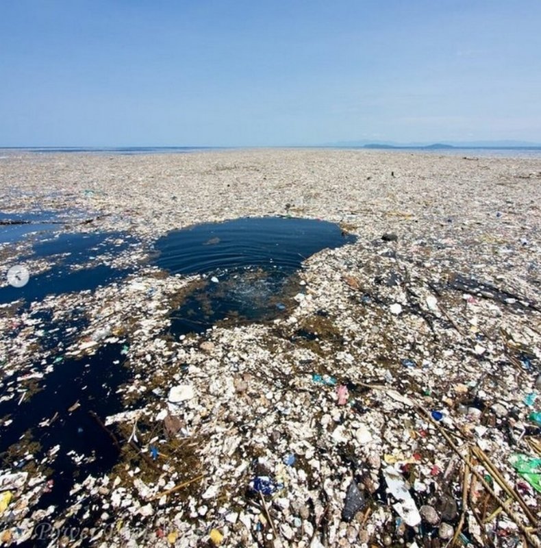 Большое Тихоокеанское мусорное пятно