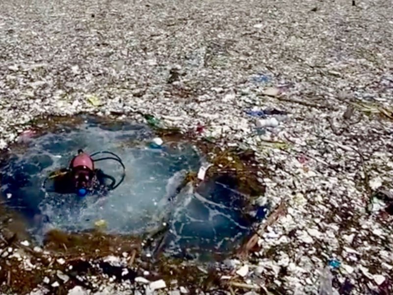 Большое мусорное пятно в тихом океане