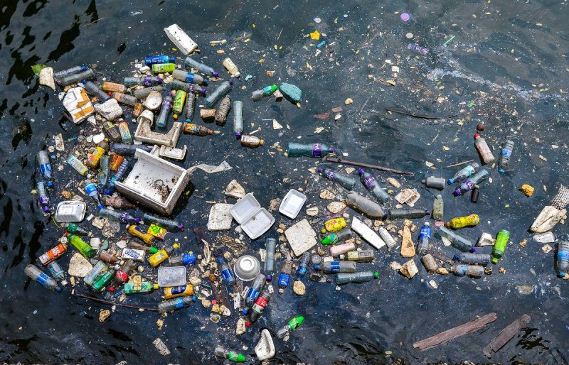 Eastern Garbage Patch