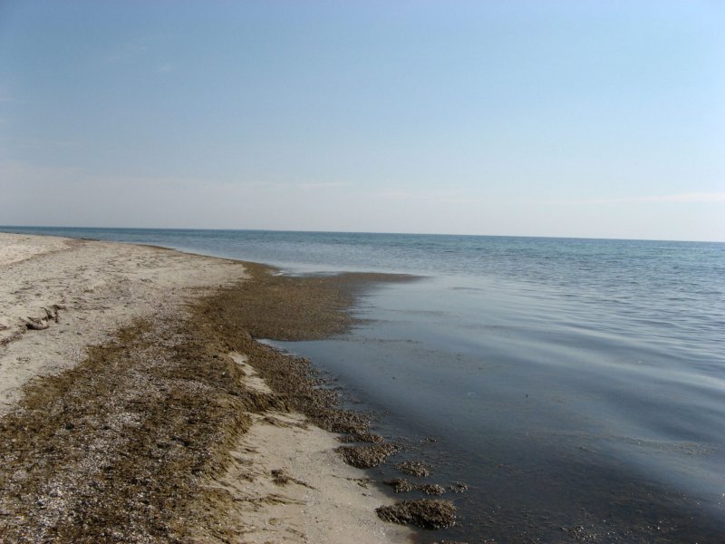 Остров в черном море Джарылгач