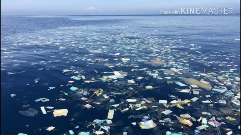 Пластиковый мусор в океане