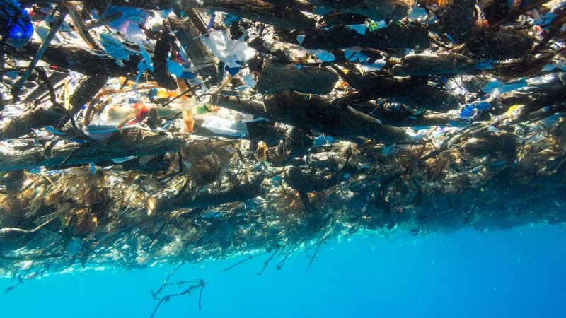Саргассово море мусор