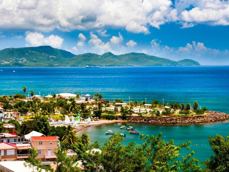 Мартиника Карибы