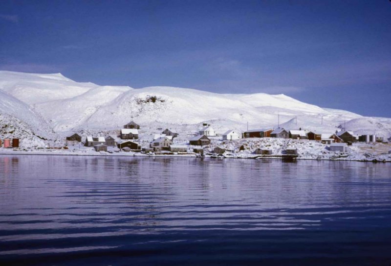 Остров короля Георга в Антарктике
