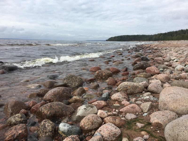 Берег финского залива