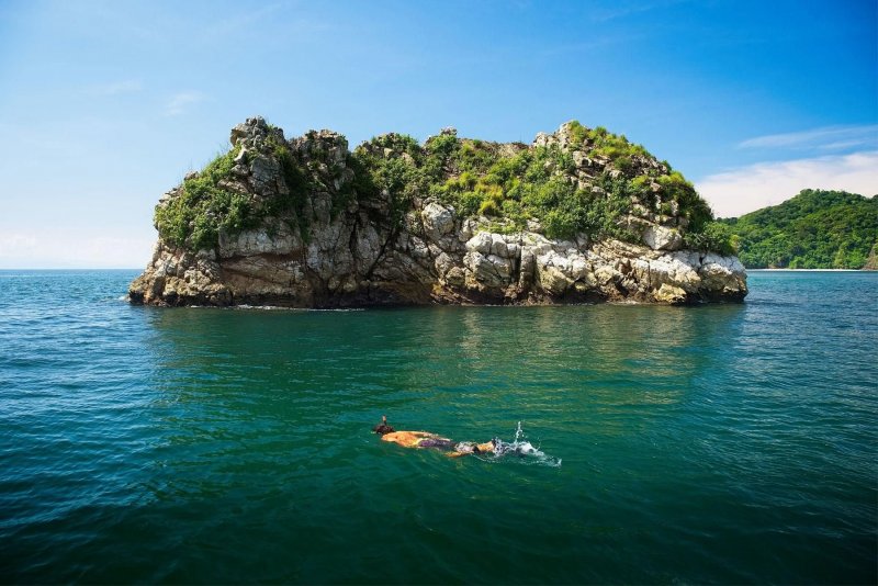 Коста-Рика фото остров Тортуга