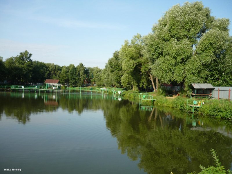 Зелёный островок Малое Козино Нижегородская область