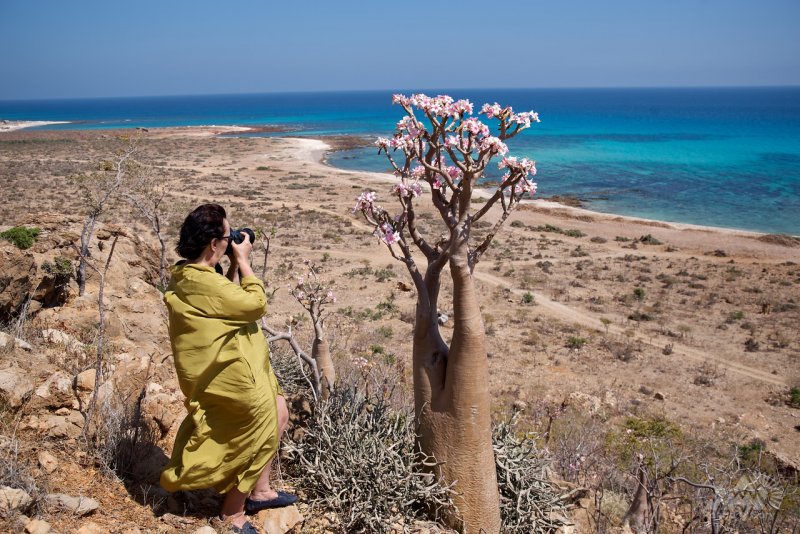Остров Сокотра Йемен фото