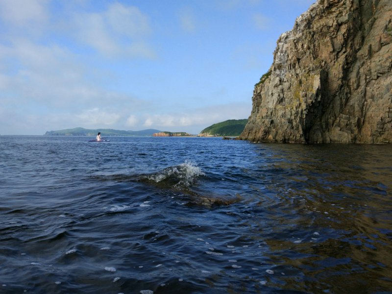 Остров Наумова в японском море