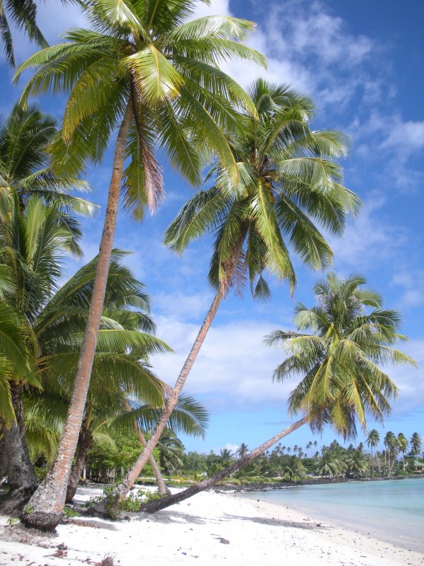 Самоа остров Доминикана