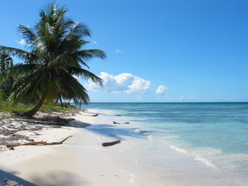 Карибское море пляж Баунти
