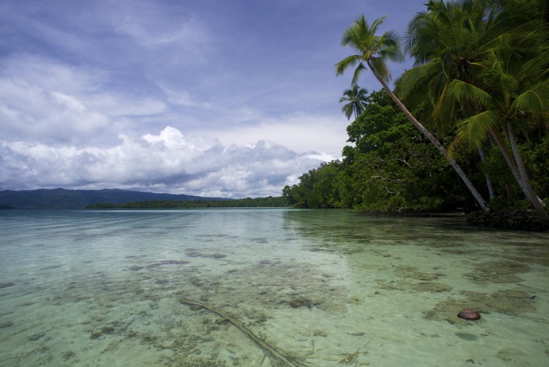 Соломоновы острова (архипелаг)