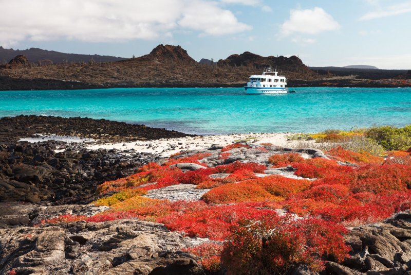 Galapagos Santa Cruz остров