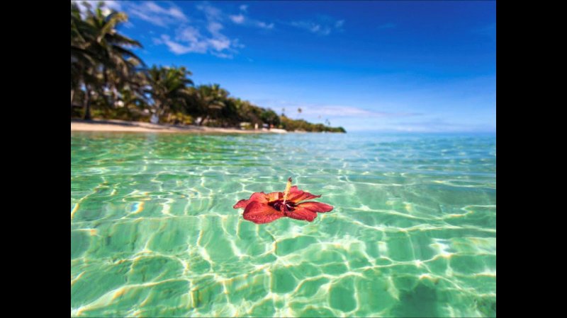 Фиджи остров мечты Живая картинка