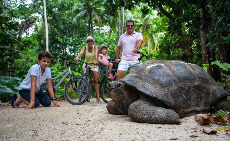 Остров Альдабра Сейшелы черепахи