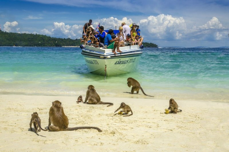 Остров Пхи-Пхи пляж обезьян Таиланд