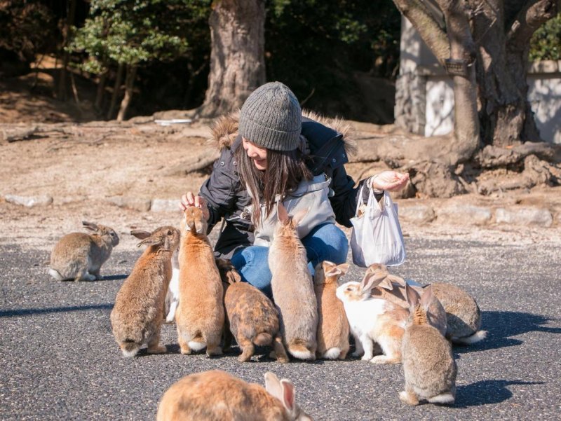 Окинасима остров кроликов