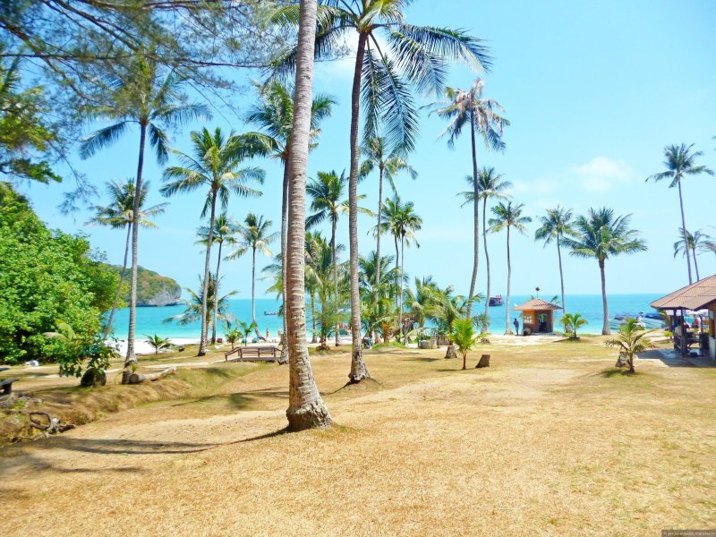 Тайланд пляж остров Самуи