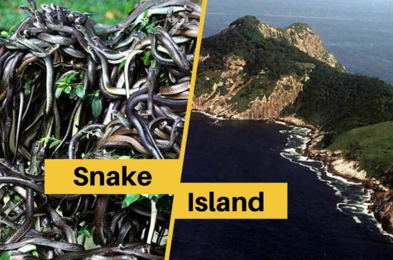 Остров змей Кеймада-Гранди