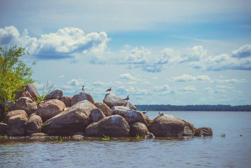 Псковское озеро Талабские острова