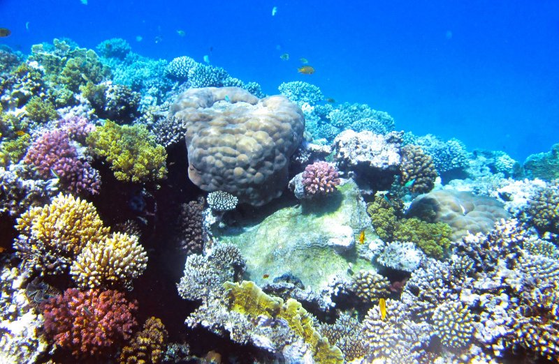 Коралловые острова Египет