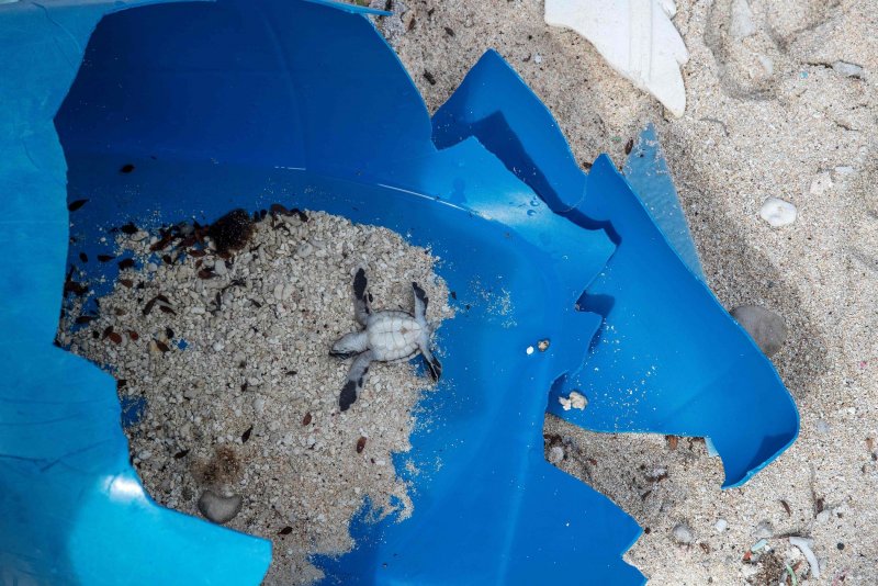 Саргассово море мусорное пятно