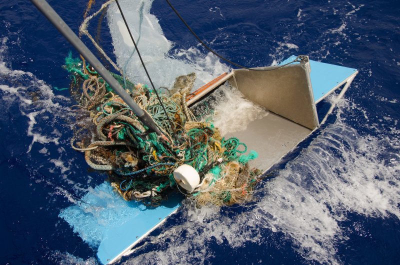 Пластиковые отходы дрейфующие в тихом океане