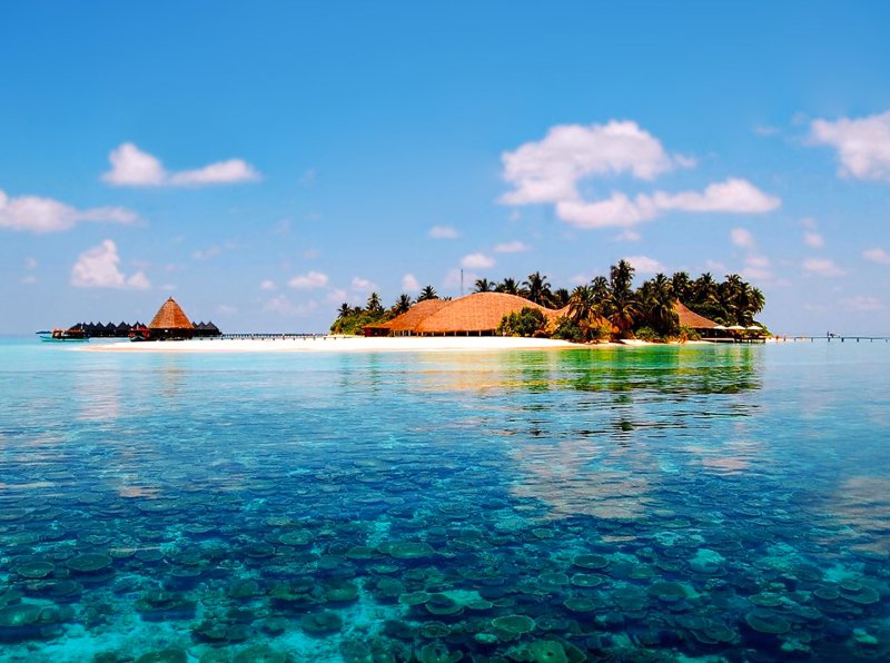 Лаккадивское море Мальдивы