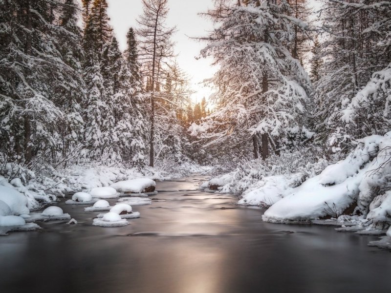 Зима Лесной речкой