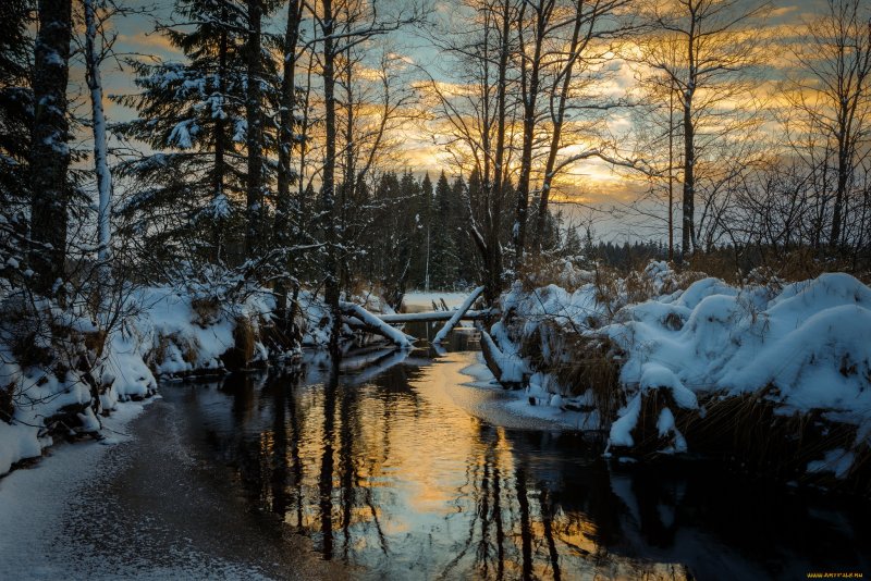 Лесная речка зимой