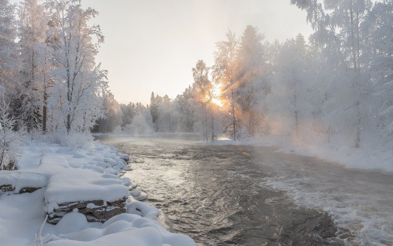 Зима река лес иней