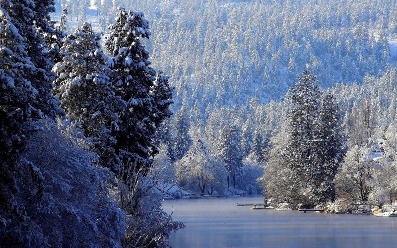 Замерзшая река в зимнем лесу