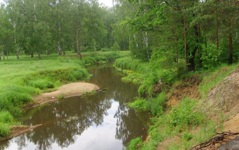 Река поля Шатурский район