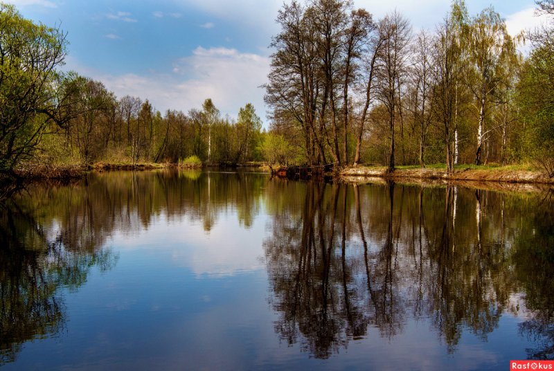 Озеро белое пейзаж Шатурский район