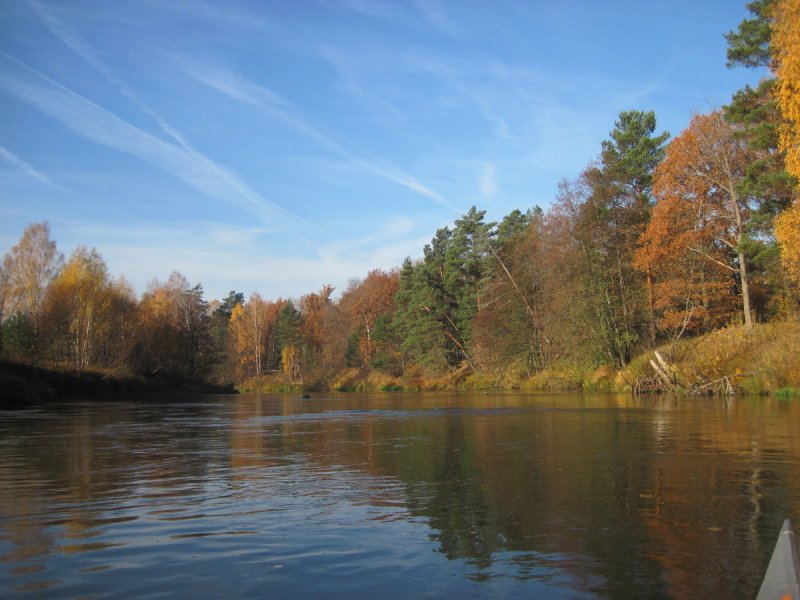 Река теша Нижегородская