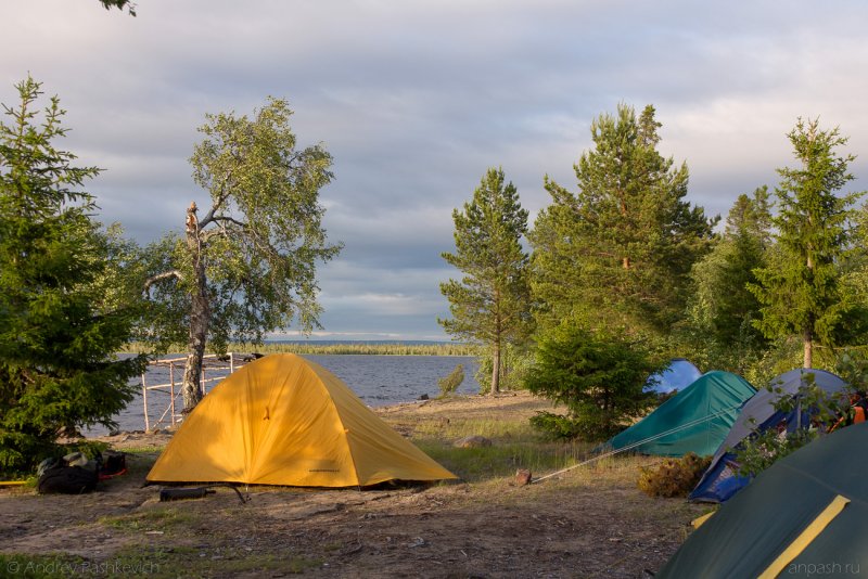 Палаточный лагерь берегу реки Волги