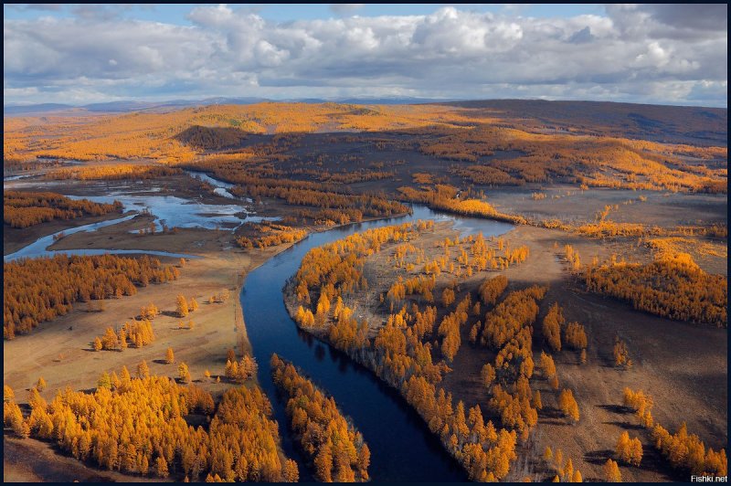 Река Витим Забайкальский край
