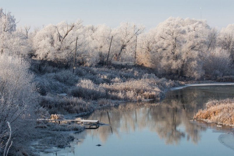 Река Проня зимой