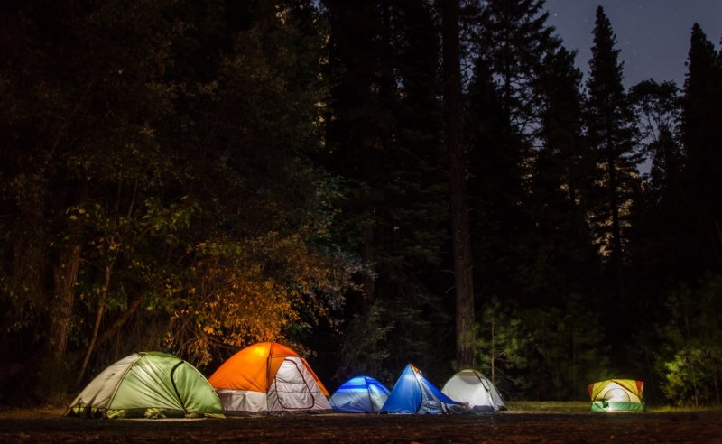 Лесной палаточный лагерь