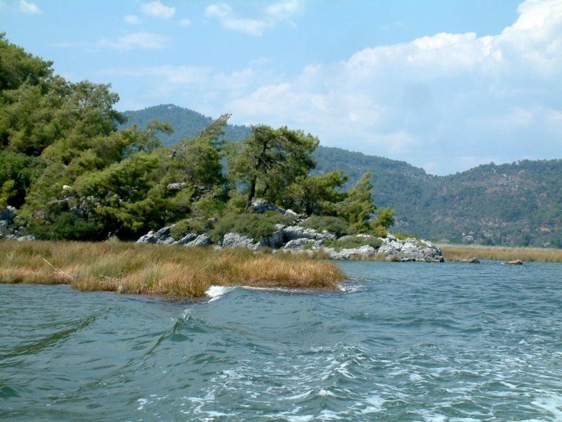 Река Евфрат Турция